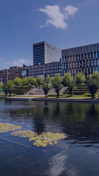 rsm wallpaper – campus-608x1080_50